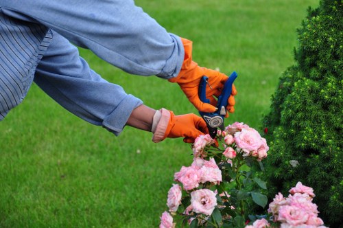 Man-and-van ready for same-day garden clearances